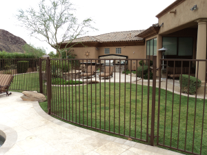 RH Iron Pool Fence